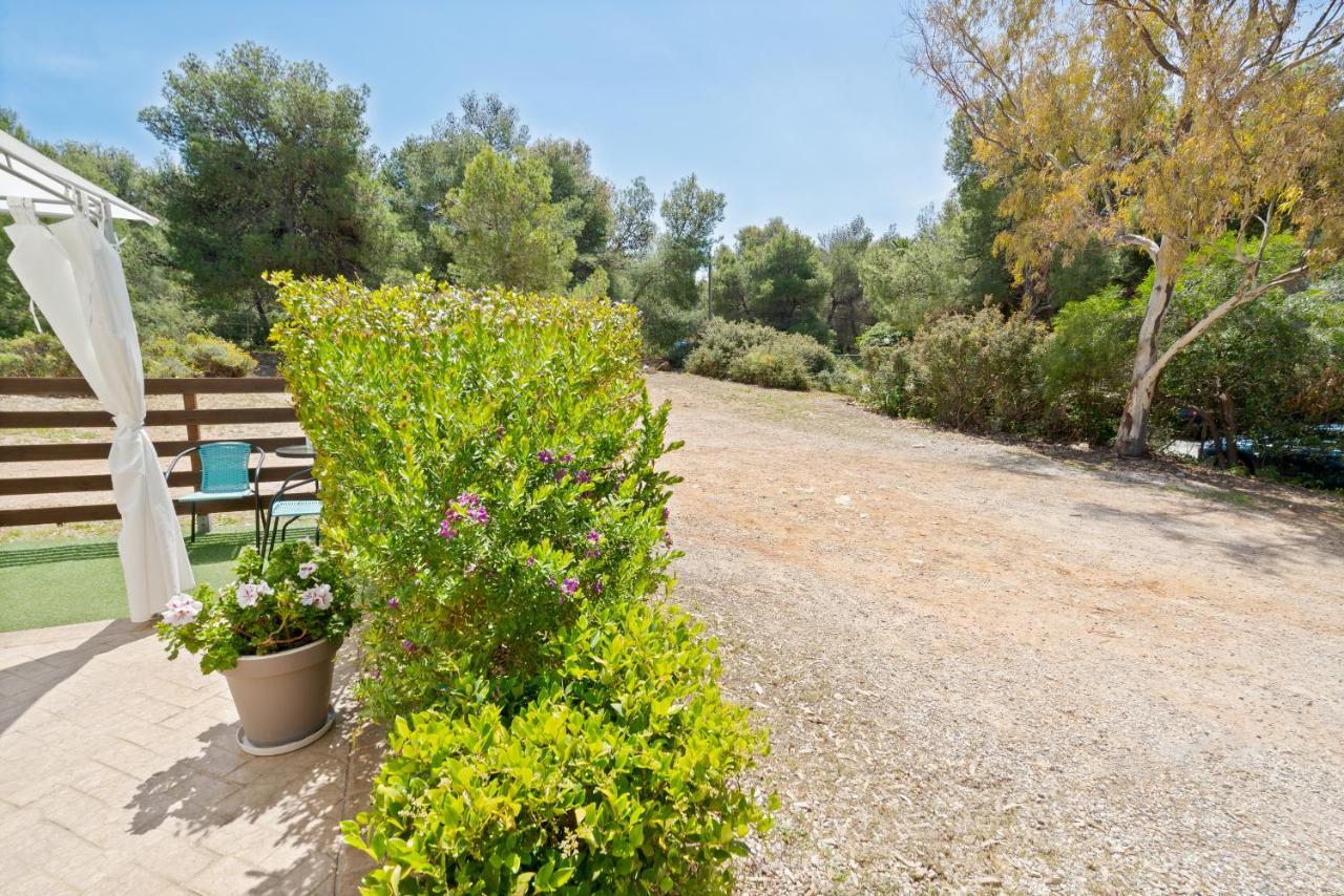 Chania Elite Homes I-Sunny Apartment 4Km From Center Dış mekan fotoğraf